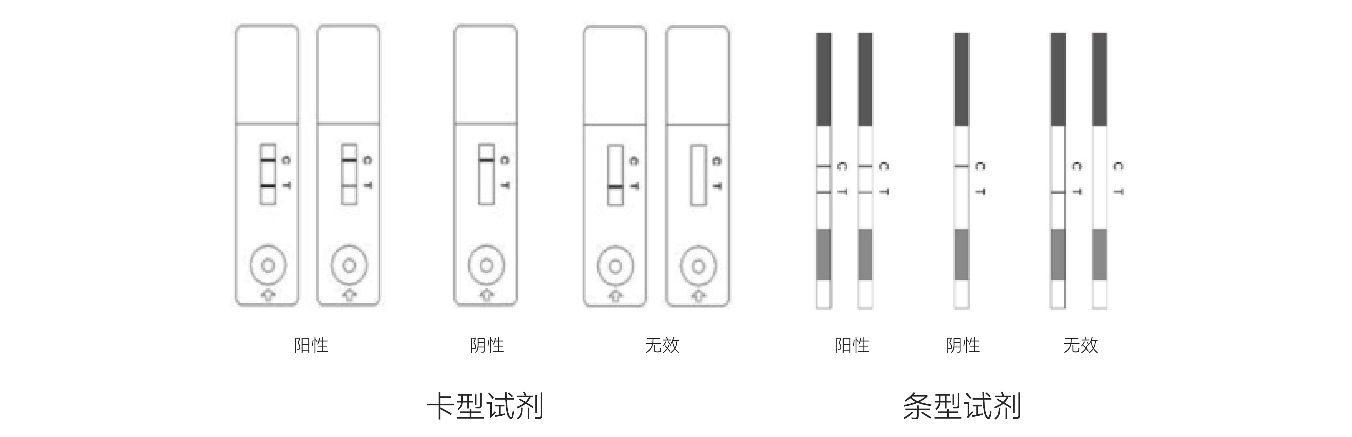 隱球菌莢膜多糖檢測試劑盒(膠體金法) - 副本.jpg